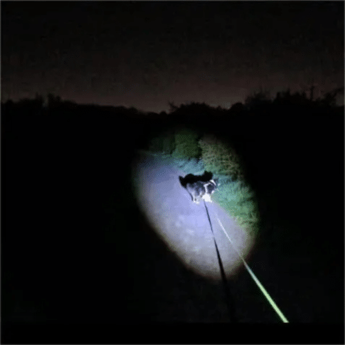 Night Spark Flashlight (Official Retailer) 2025